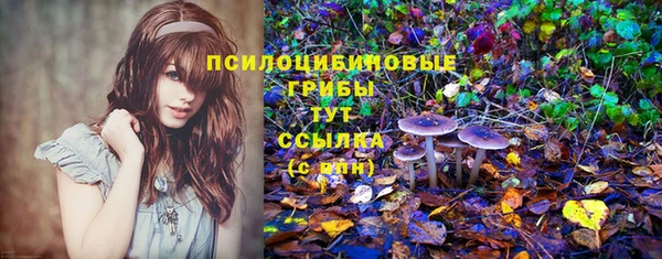 спиды Верхний Тагил