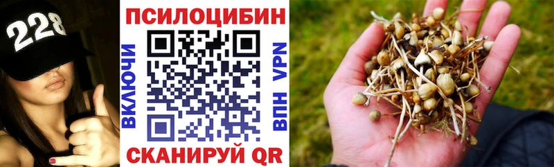 что такое   Магнитогорск  Псилоцибиновые грибы мицелий 